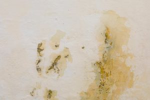 Paint Problems