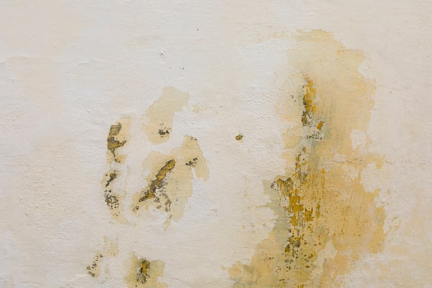 Paint Problems